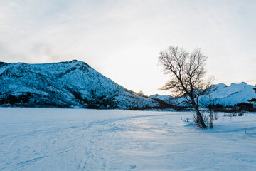 Lofoten in Norway - beautiful winter views
