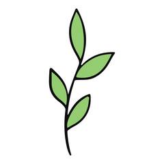 Fototapeta premium leaf hand drawn and Spring flat color design