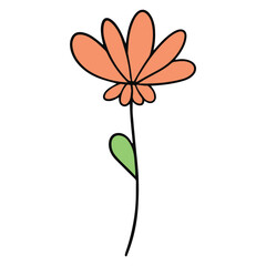 Flower hand-drawn and Spring flat color design