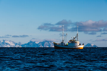 Sezon połowu dorsza na Morzu Norweskim u wybrzeży Lofotów, rybackie kutry łowią ryby sieciami oraz wędkami - obrazy, fototapety, plakaty