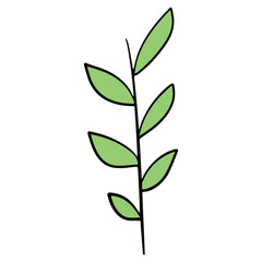 leaf hand drawn and Spring flat color design