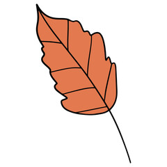 leaf hand drawn and Spring flat color design