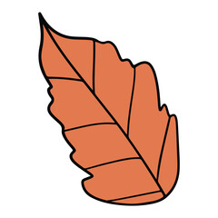 leaf hand drawn and Spring flat color design