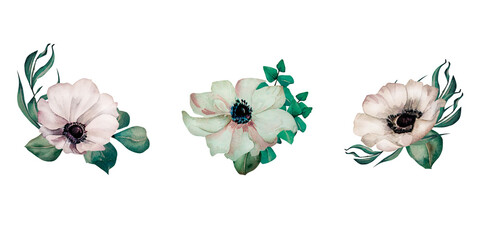 White anemone flowers and leaves, eucalyptus branch watercolor illustration isolated on white background