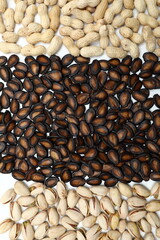 dried watermelon seeds isolated on white background