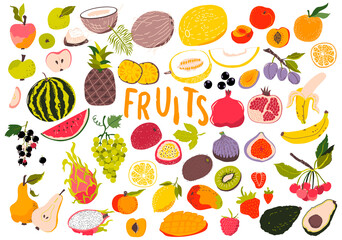 Fruits and berries set. Tropical. Sliced pieces. Organic and vegetarian food. Doodle Vector illustration