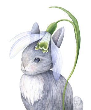 Cute hare and spring snowdrop flower. Easter card with a kind character. Watercolor illustration hand drawn on a white background. Image for congratulations.