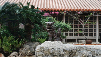 tree in the garden  in miyakojima  city