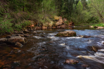 Naklejka na ściany i meble Amata river and forest in spring. (Gauja National Park, Latvia) Latvia.