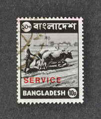 Cancelled postage stamp printed by Bangladesh, that shows Bullocks ploughing, circa 1976.