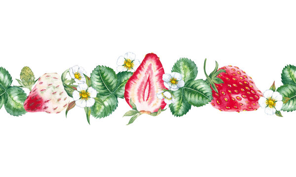 Seamless border of seasonal garden plant. Srawberries with flowers and leaves. Watercolor hand painted isolated element on white background.