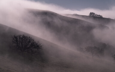 Morning mist rising from the ground in the countryside