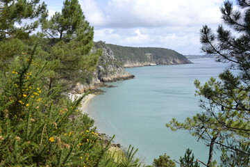 Fototapeta premium Cap de la chèvre