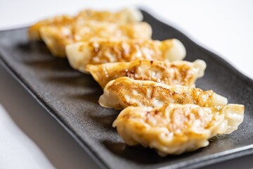 【料理】皿の上の餃子
