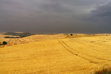 Fototapeta premium Country landscape in Basilicata, Italy, at summer