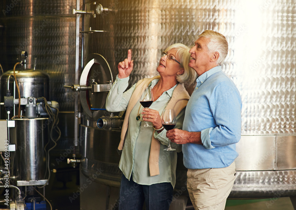 Poster So this is where the best wine is made. Cropped shot of a senior couple enjoying a little wine tasting.