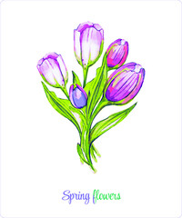 Spring flowers. A festive bouquet. Vector illustration from a set of Spring flowers. Lilies of the valley, tulips, cornflowers, snowdrops and crocuses.