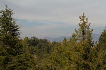 Scenic view of the Himalayan ranges from the george everest peak in mussoorie