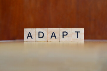adapt text on wooden square, motivation quotes