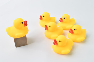 Duck leader standing out from the crowd. Business concept.