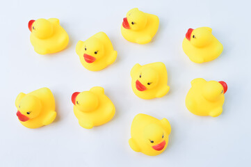 Toy ducks heading with different directions. Business innovation, unique and think different concept.
