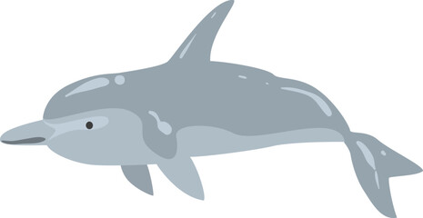 Dolphin as Cetacea Fish with Fins and Underwater Oceanic Mammal Species