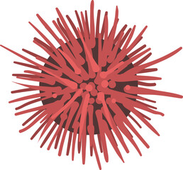 Underwater Oceanic Species Inflated Porcupinefish   © topvectors