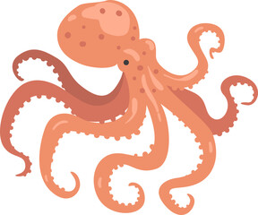 Octopus as Soft-bodied, Eight-limbed Mollusc and Underwater Oceanic Mammal Species © topvectors