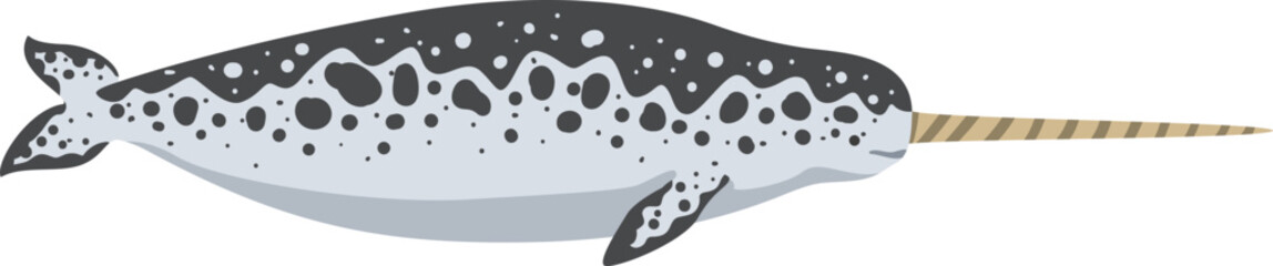 Narwhal as Toothed Whale with Fins and Tusk as Underwater Oceanic Mammal Species © topvectors