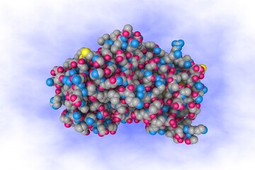 Structural mechanism of hormone release in thyroxine binding globulin. Space-filling molecular model on blue background. Rendering based on protein data bank entry 4yia. 3d illustration