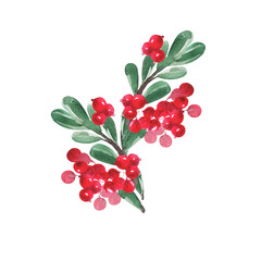 A branch with red berries and green leaves for the design of postcards, posters and other printed products.