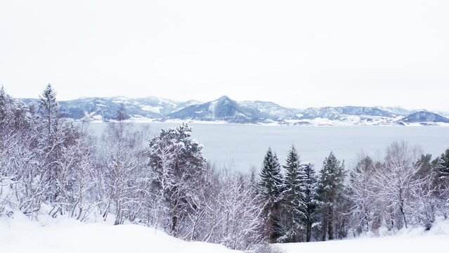 Panoramic View of Snow Covered Trees with the Lake and Mountains in the Background in Indre Fosen Norway - Backward Panning Aerial Shot