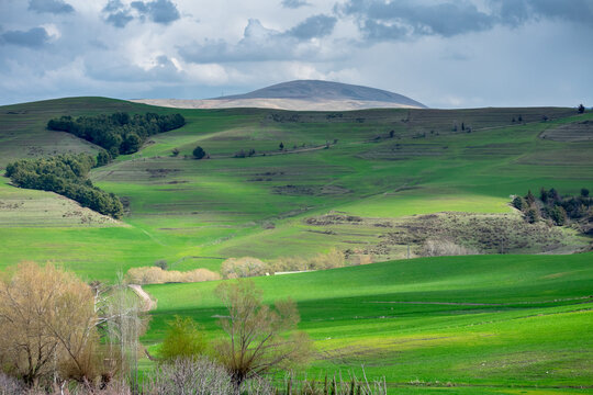 Scenic view of green fields and cloudy sky from Setif, Algeria