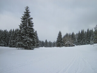 Winter mountain landscape, spruce house and ski trail