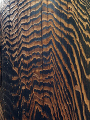 黒い木目OLYMPUS DIGITAL CAMERA