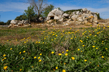 Obraz premium Talayotic village Els Antigors, Ses Salines, Talaia Joana, Mallorca, Balearic Islands, Spain