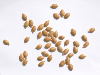 close up Sweet pumpkin seeds isolated white background.