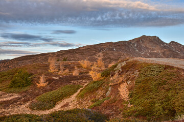Obraz premium Sonnenuntergang, Alpen, Herbst, Abend, Abendstimmung, Sonne, Feuerball, rot, gelb, orange, Herbststimmung, Abendrot, Dämmerung, Licht, Schatten, Sonnenstrahl, Sonnenstrahlen, Baum, Bäum, Silhouette, L