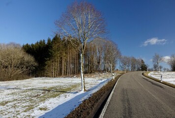 Tarmac road, meadows, tress and reflector poles in Westerwald landscape, sunny winter day, concept: winter, driving, outdoor, melting, guidance (horizontal), Weissenberg, RLP, Germany
