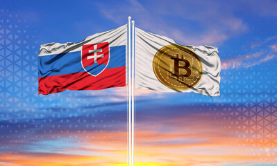 The flag of Slovakia is on the opposite side, a white flag with the symbol of Bitcoin. The concept of the country dealing with digital currencies