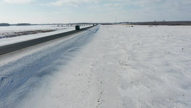 Trans-Siberian highway. Traffic on the Omsk - Novosibirsk AH6 "Irtysh" highway. Aerial view.