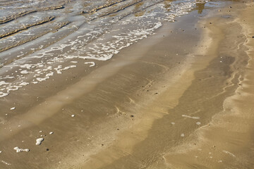 Sandy beach and sea edge