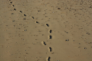 Footprints in soft sand on beach