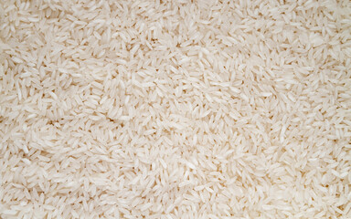 White rice background texture. Raw uncooked food grains backdrop.