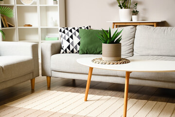 Coffee table with houseplant in light living room