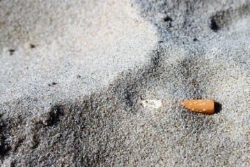 a cigarette butt lies on the beach and pollutes the environment