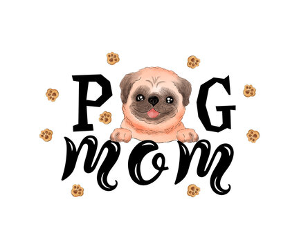 Handwritten lettering Pug Mom and hand painted pug dog. Illustration.