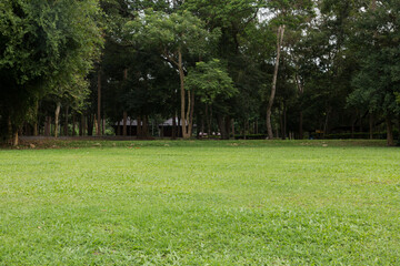 Camping atmosphere accommodation Get close to nature at Namtok Samlan National Park