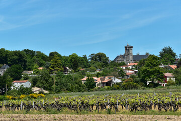 Fototapeta na wymiar Frankreich - Oreé-d' Anjou - Eglise Saint-Pierre de la Varenne