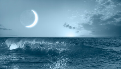 A whale swimming near the beach and a crescent in the sky